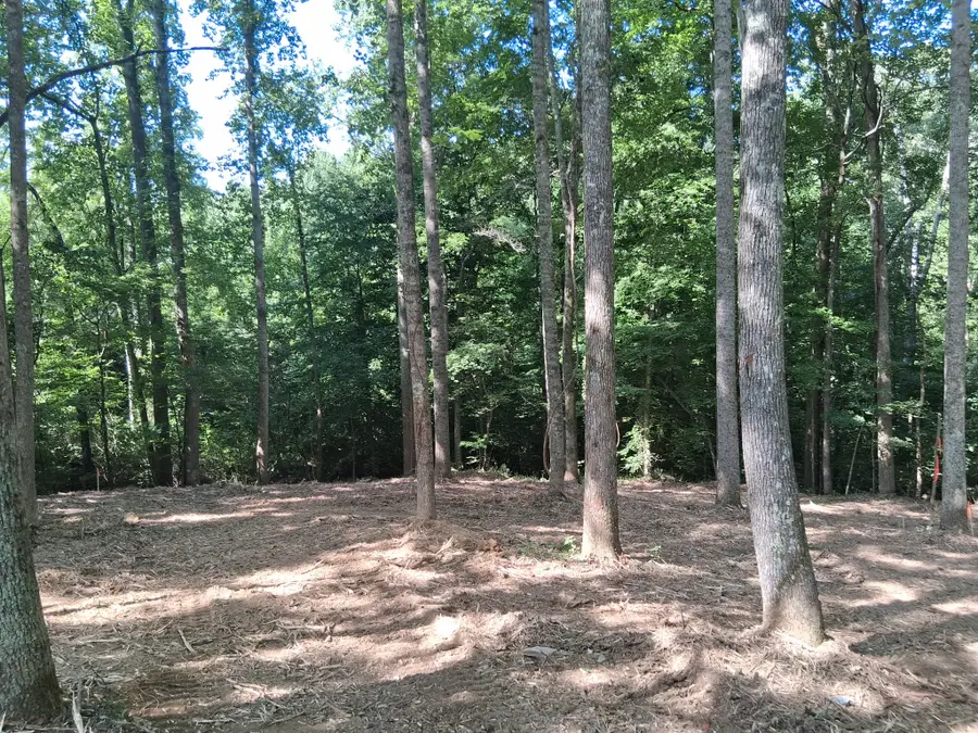 745 October Drive, Smithville, TN 37166 - #3