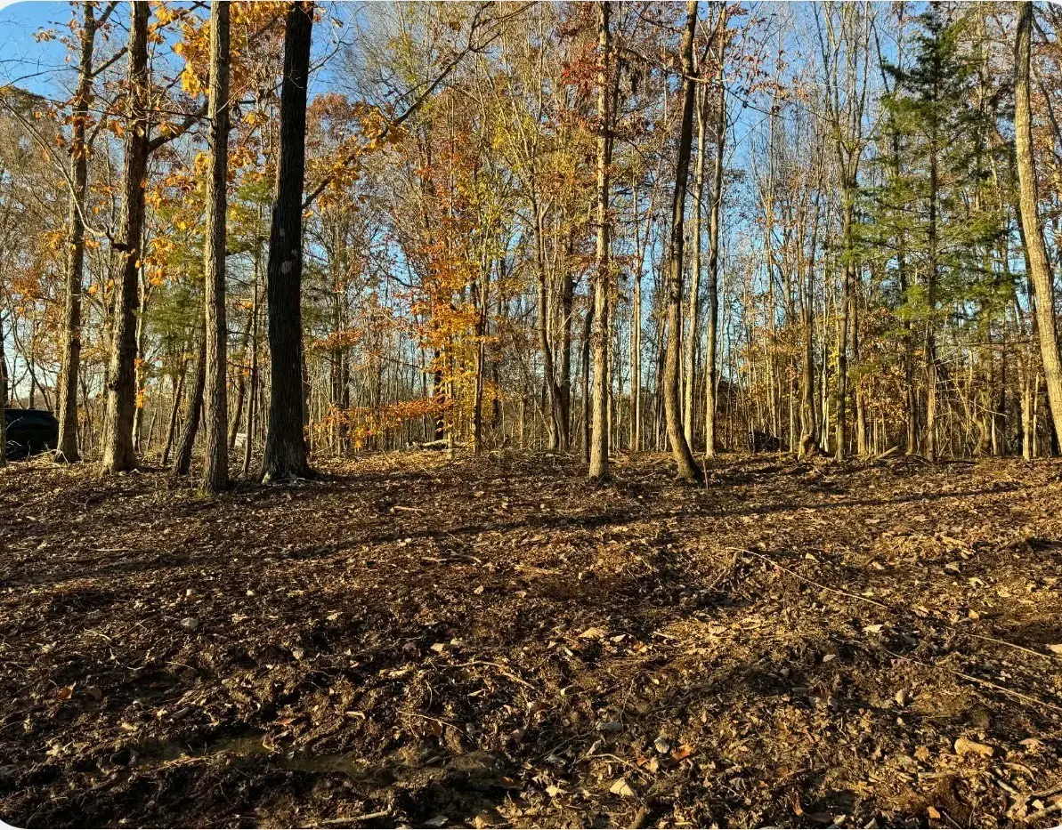 260 Lineport Rd, Bumpus Mills, TN 37028 - #1