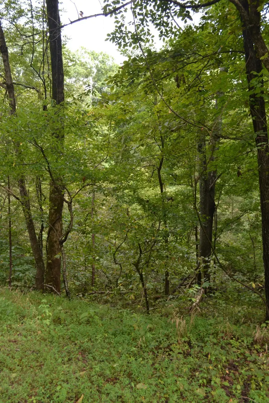 0 Pond Drive, Gallatin, TN 37066 - #3