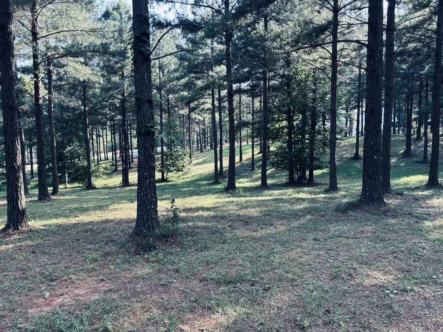 0 Raulston Falls Road, Jasper, TN 37347 - #3