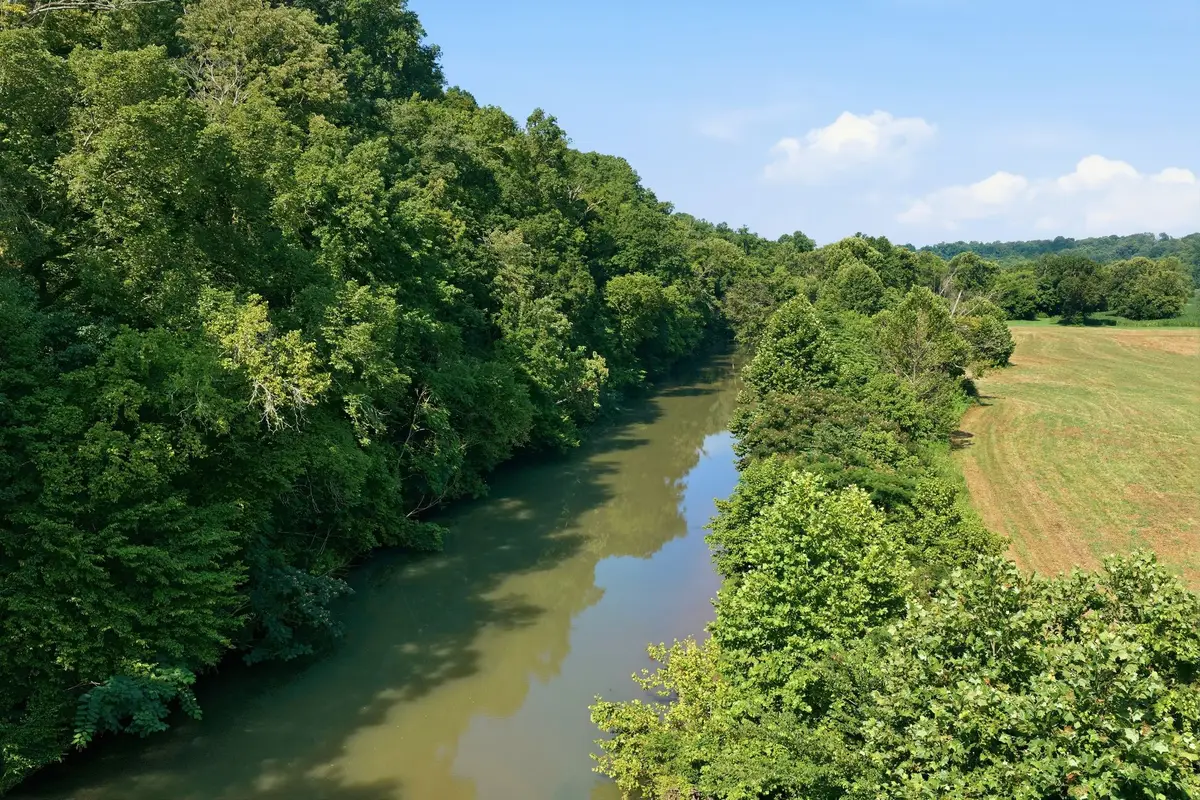 8167 Primm Springs Rd, Primm Springs, TN 38476 - #1
