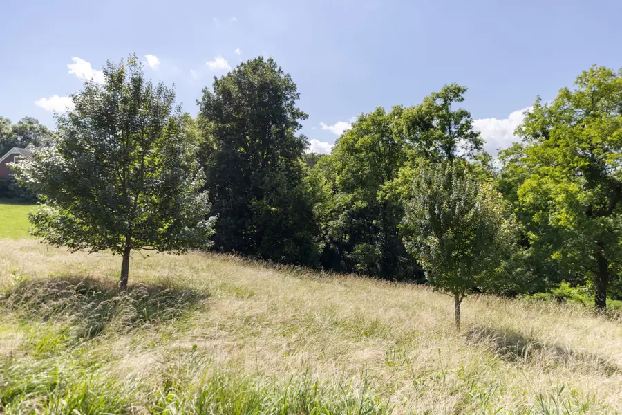 1202 Valarie Ln, Columbia, TN 38401 - #3