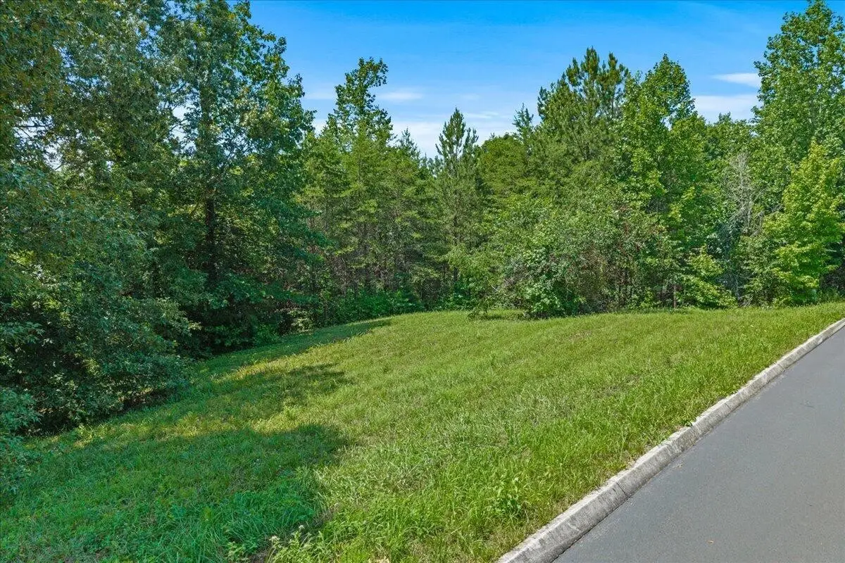 16 Copper Still Way Drive, Madisonville, TN 37354 - #1