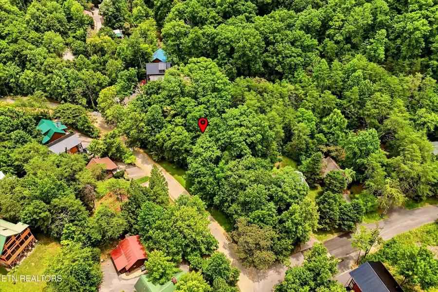 12 Smoky Mountain Way, Sevierville, TN 37876 - #3