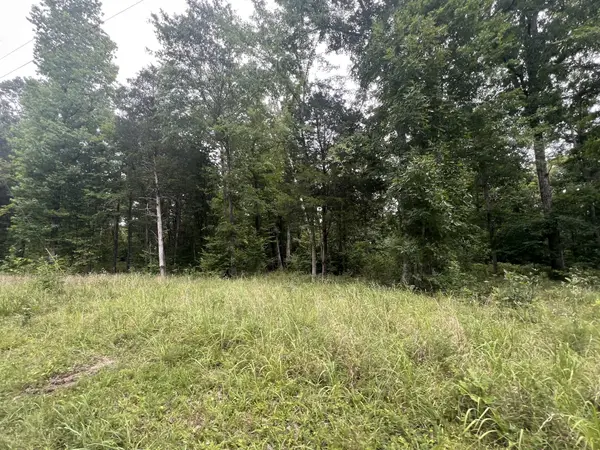 3 Toms Creek Lake Rd, Linden, TN 37096