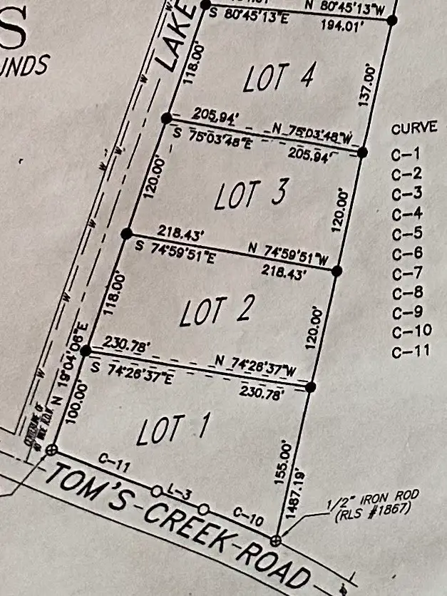 4 Toms Creek Lake Rd, Linden, TN 37096 - #2