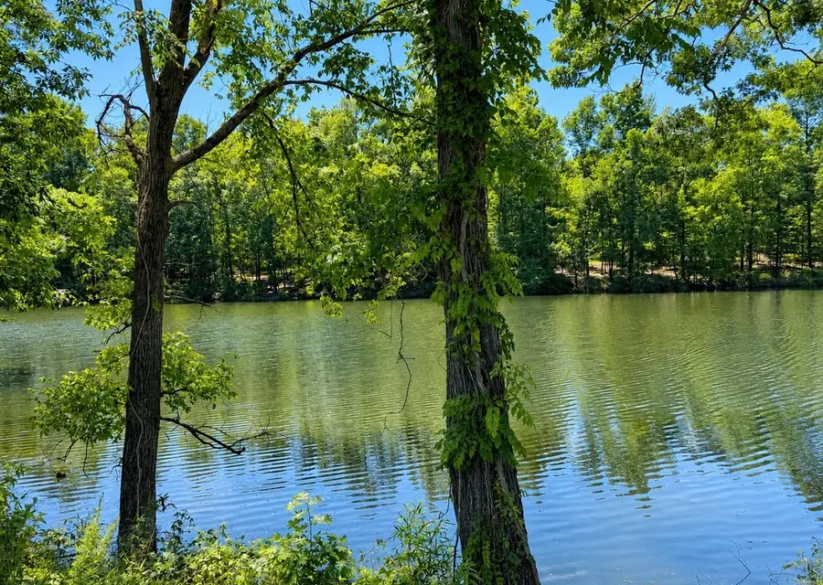 384 Duck Blind Rd, Clifton, TN 38425 - #2