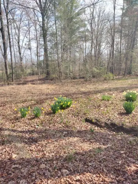 465 Huse Watson Rd, Oakdale, TN 37829 - #1
