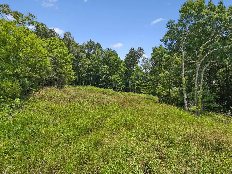 0 Matt Drive, Bell Buckle, TN 37020 - #2