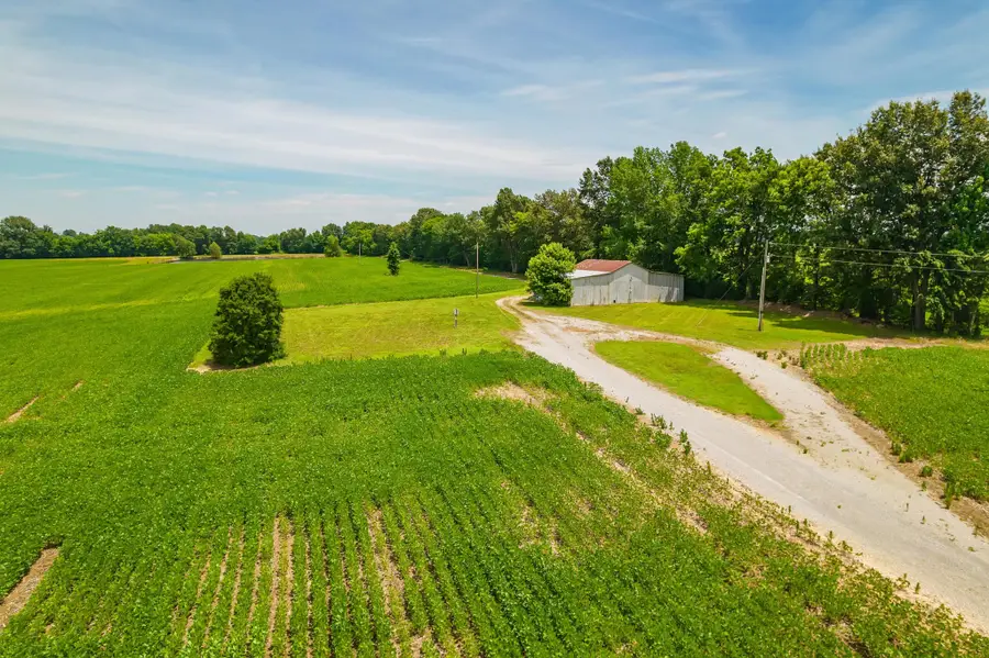 4996 Arch Thompson Rd, Union City, TN 38261 - #2