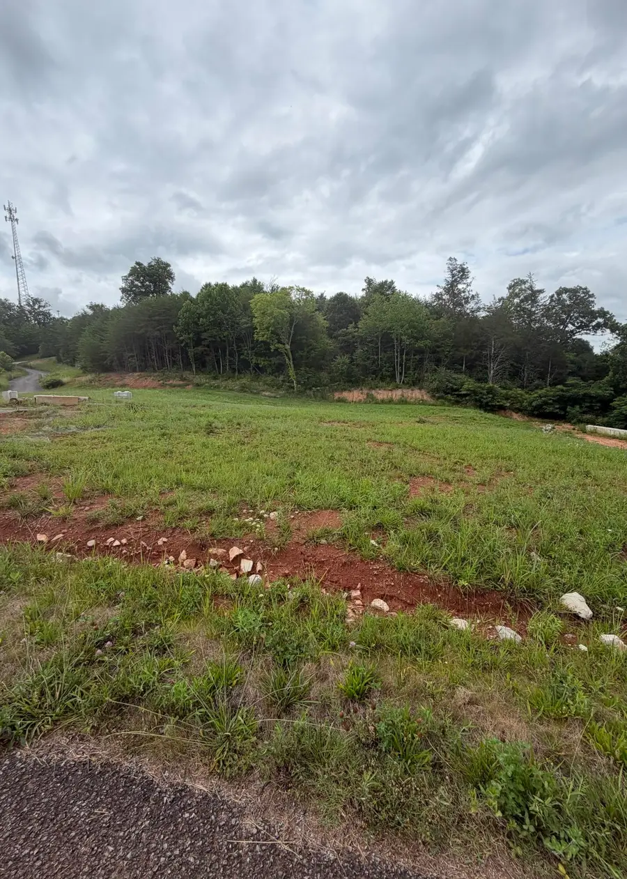 0 Bear Lane, Tellico Plains, TN 37385 - #3