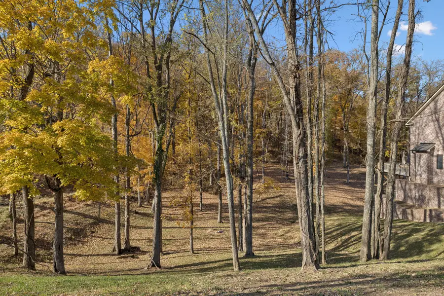 9502 Grand Haven Dr, Brentwood, TN 37027 - #2