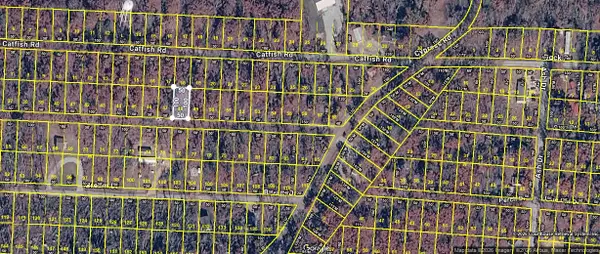 0 Carp Dr Lot 48, Buchanan, TN 38222