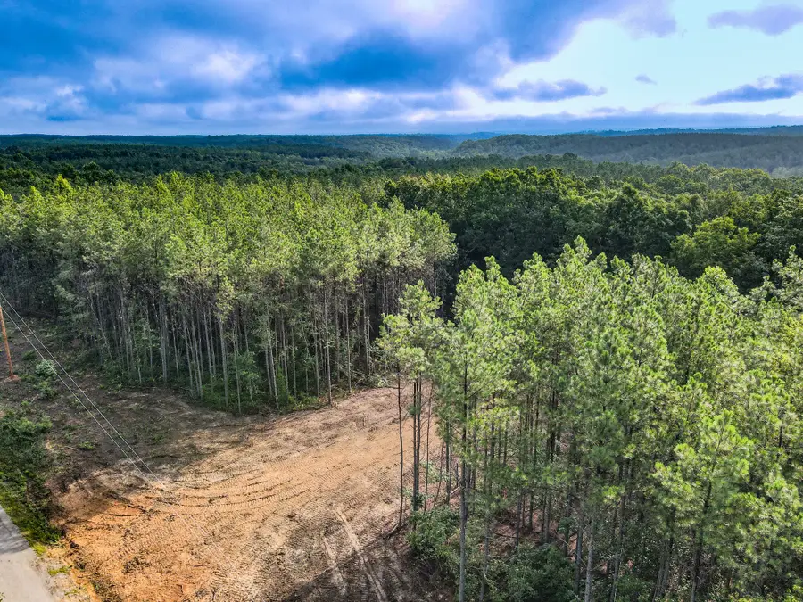 0 Brush Creek Rd, Hohenwald, TN 38462 - #2