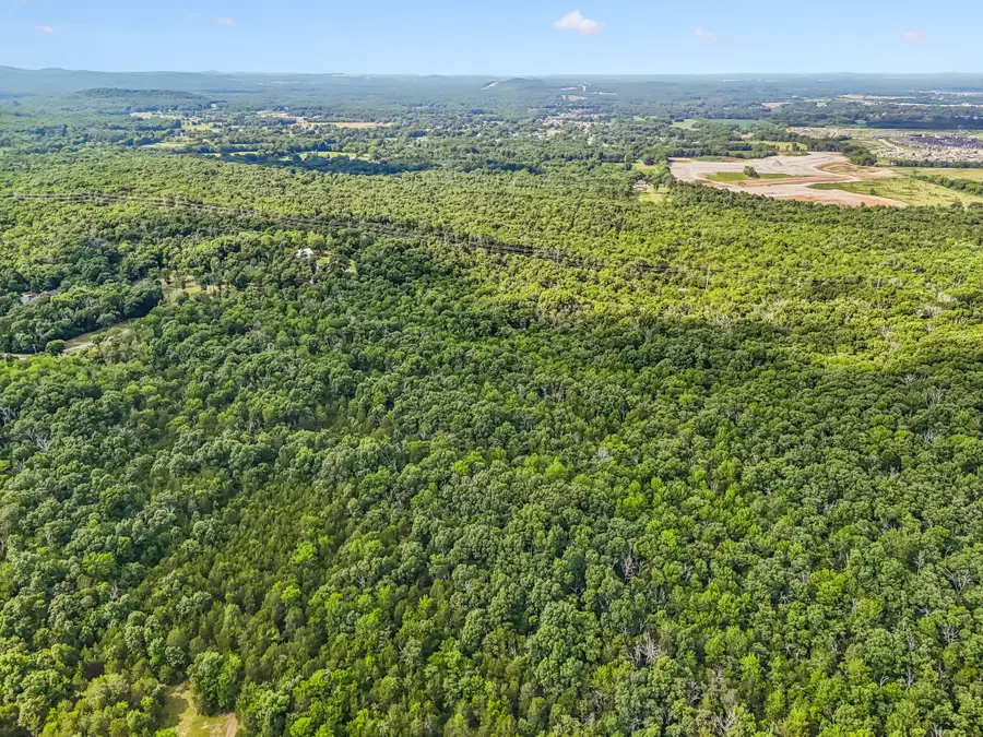 0 Newman Rd, Rockvale, TN 37153 - #3