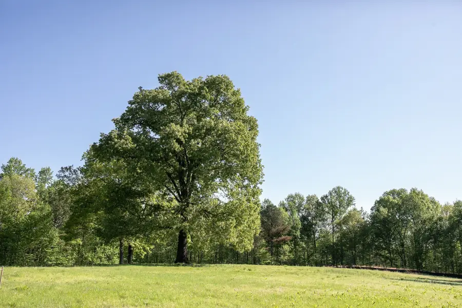 0 Pinewood Road, Franklin, TN 37064 - #2