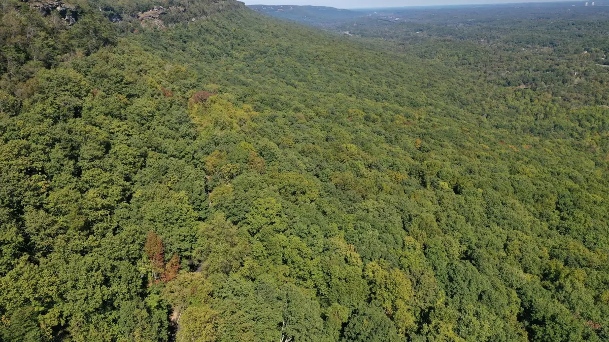 4232 W Road, Signal Mountain, TN 37377 - #1