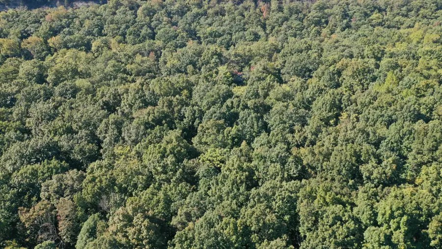 4232 W Road, Signal Mountain, TN 37377 - #3