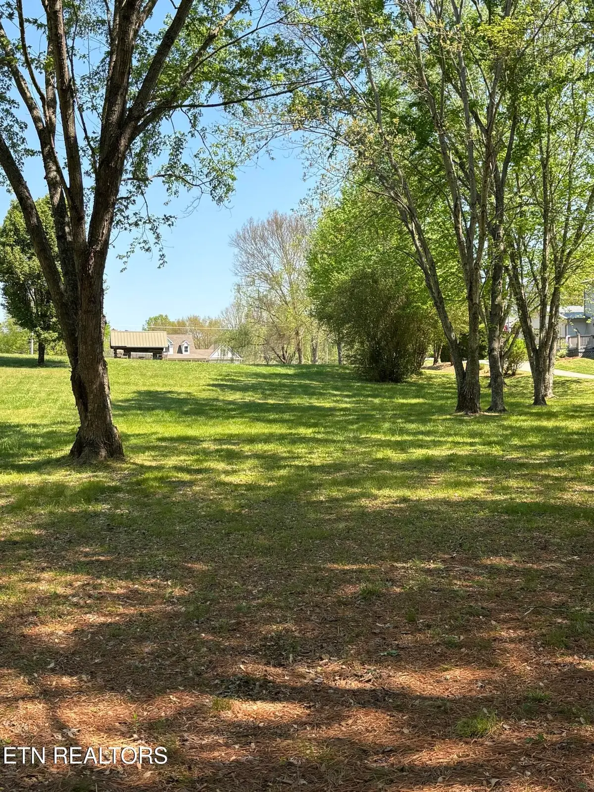 278 Savannah Shores Drive, Delano, TN 37325 - #1