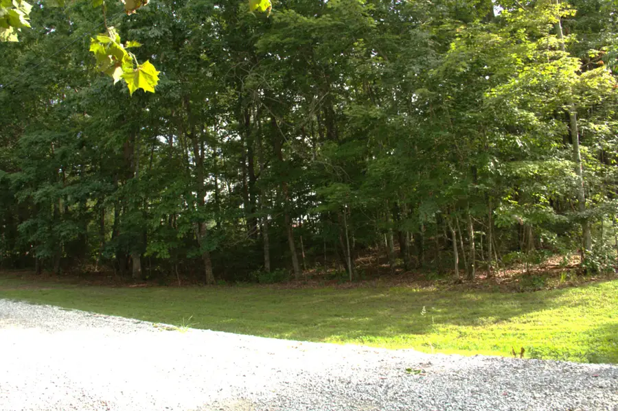 0 Bluff Line Dr, McMinnville, TN 37110 - #3