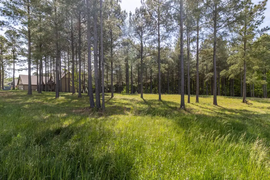 1600 Raulston Falls Road, Jasper, TN 37347 - #2