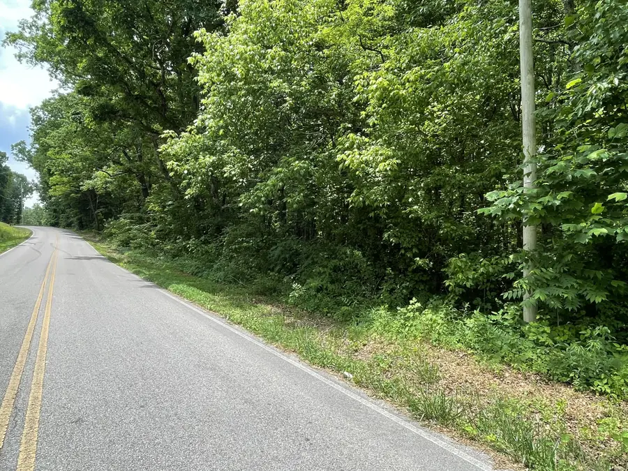 328 James Turner Rd, Tracy City, TN 37387 - #3