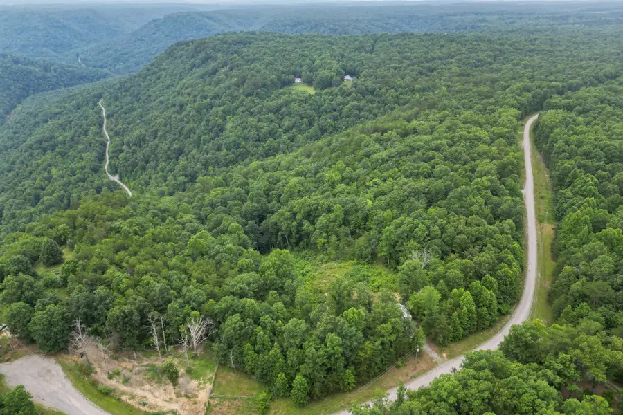 722 Flat Top View Ln, Wilder, TN 38589 - #3