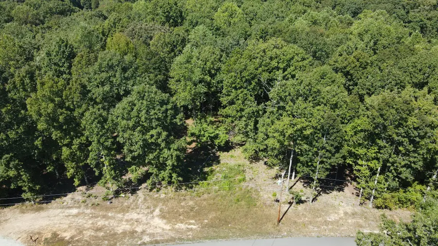 2770 Mayne Trace Rd, Waverly, TN 37185 - #3