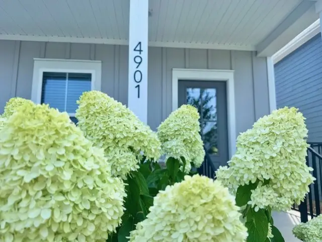 4901 Myra Dr, Hermitage, TN 37076 - #3