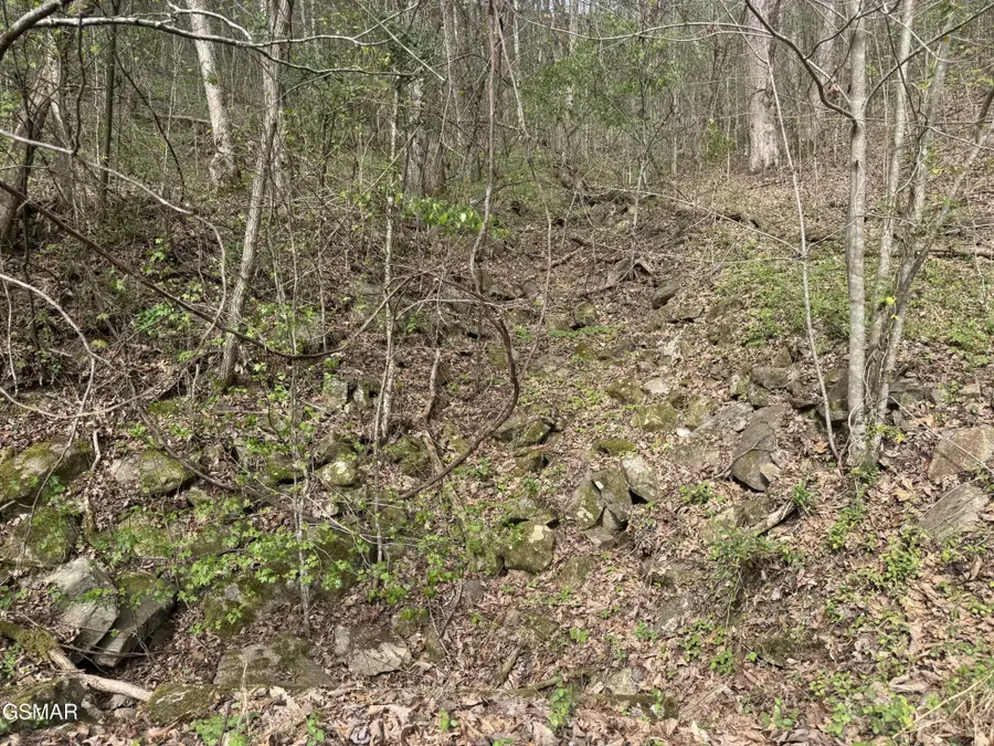 12 Whetstone Road, Sevierville, TN 37862 - #2