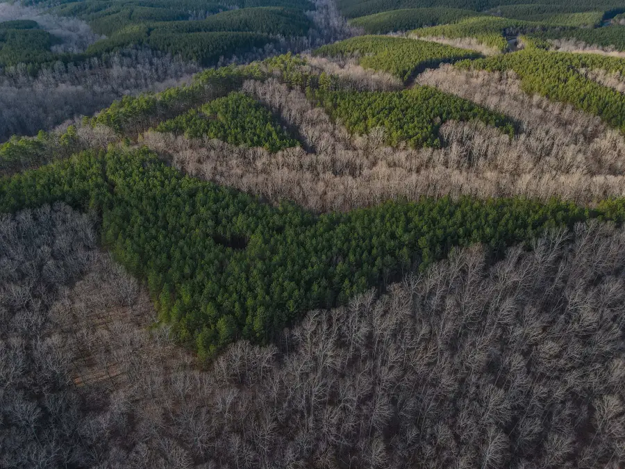 0 Brush Creek Rd, Hohenwald, TN 38462 - #3