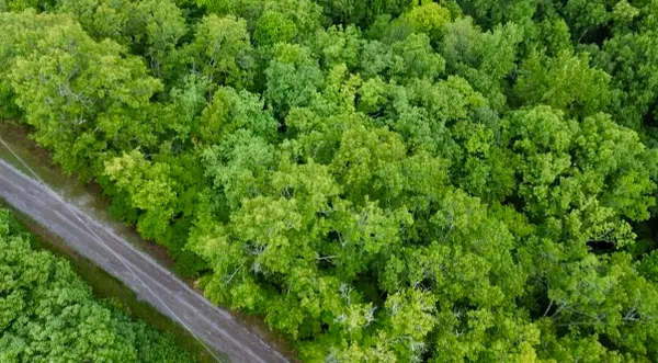 0 Skyline Dr, Smithville, TN 37166
