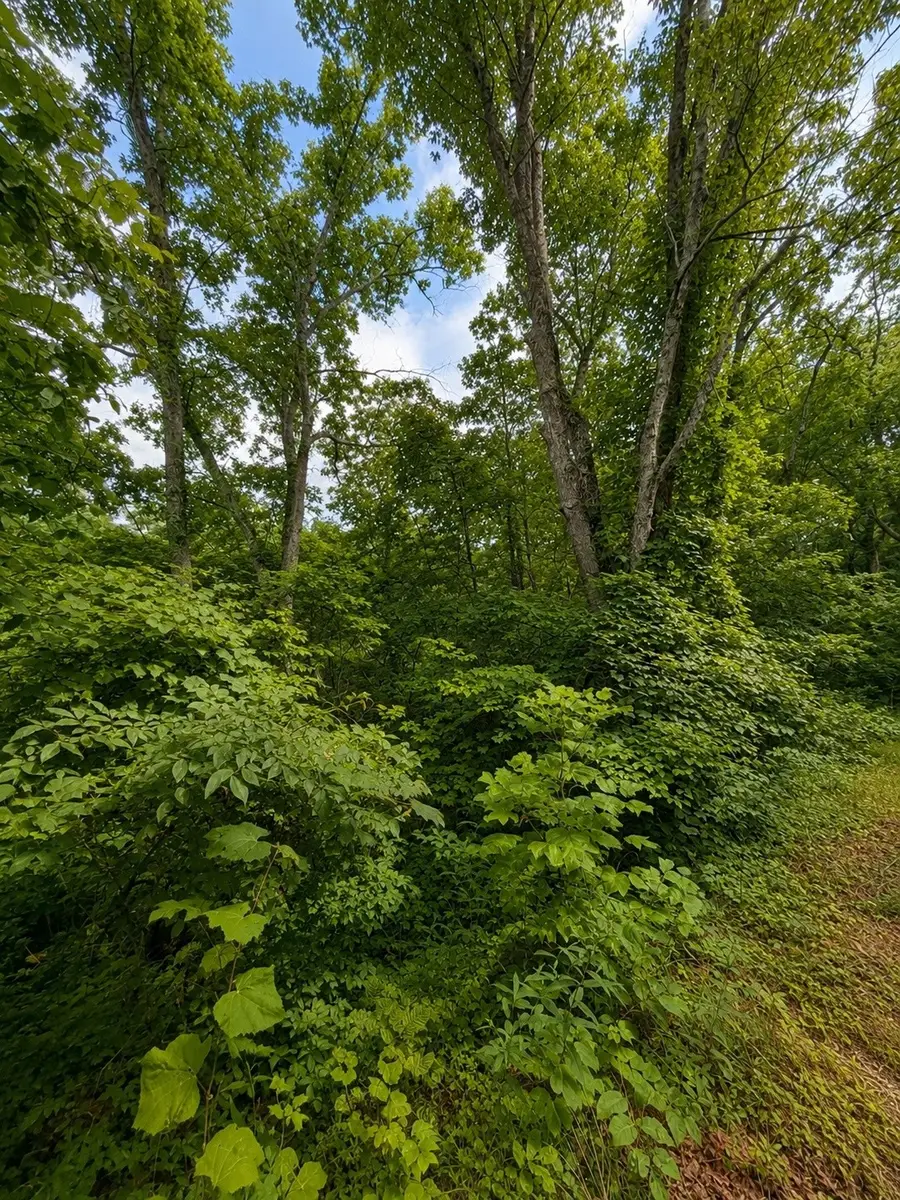 0 Skyline Dr, Smithville, TN 37166 - #2