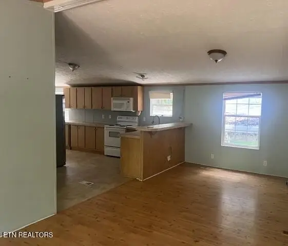 125 Ball, Rutledge, TN 37861 - #2