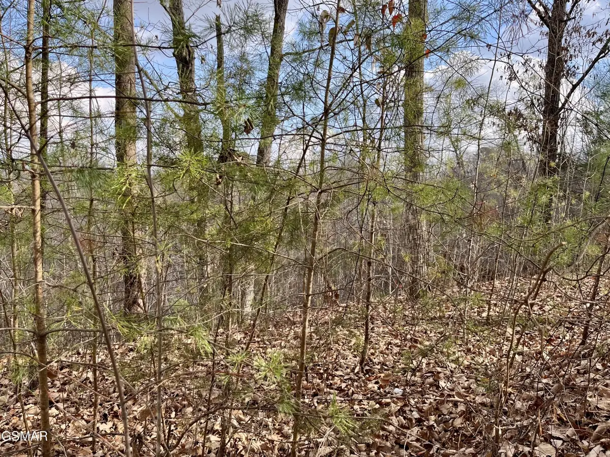 106107 Dollys Drive, Sevierville, TN 37876 - #1