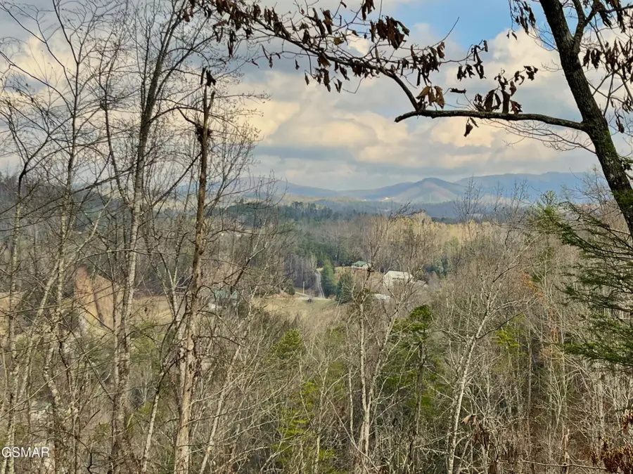 106107 Dollys Drive, Sevierville, TN 37876 - #2