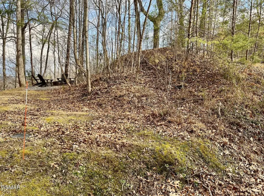 106107 Dollys Drive, Sevierville, TN 37876 - #3