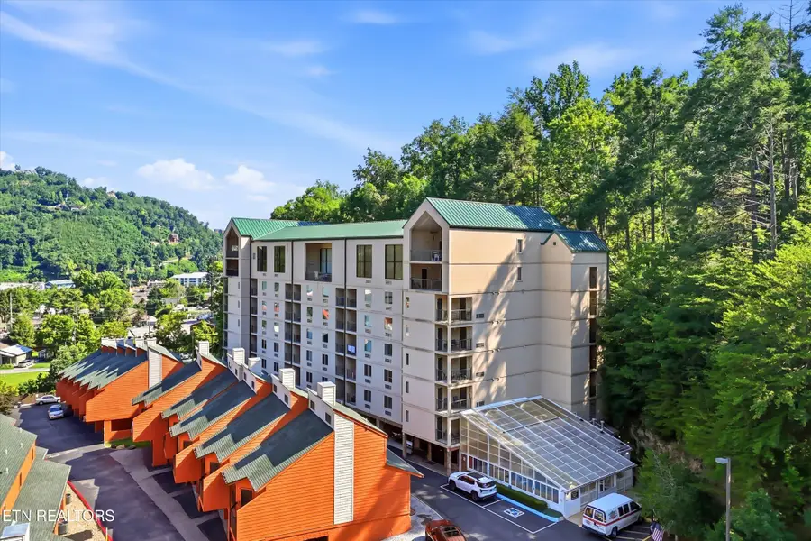 413 Baskins Creek Rd #APT 303, Gatlinburg, TN 37738 - #2
