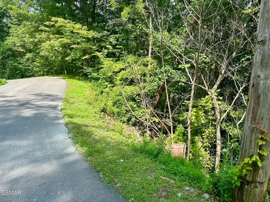0 Dogwood Drive, Sevierville, TN 37876 - #3
