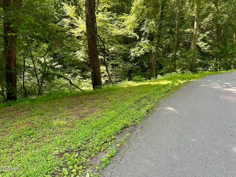 706 School House Gap Road, Sevierville, TN 37876 - #2