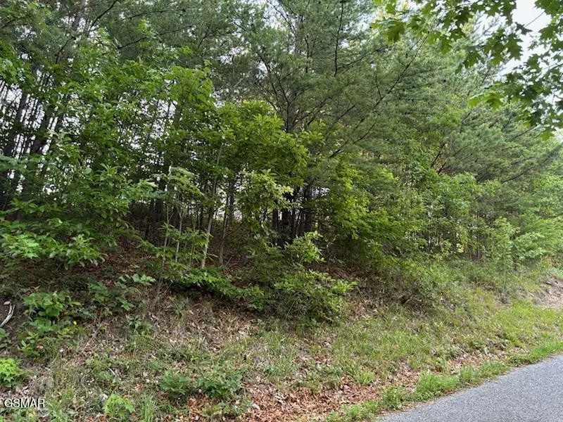 0 Top Road, Sevierville, TN 37876 - #3