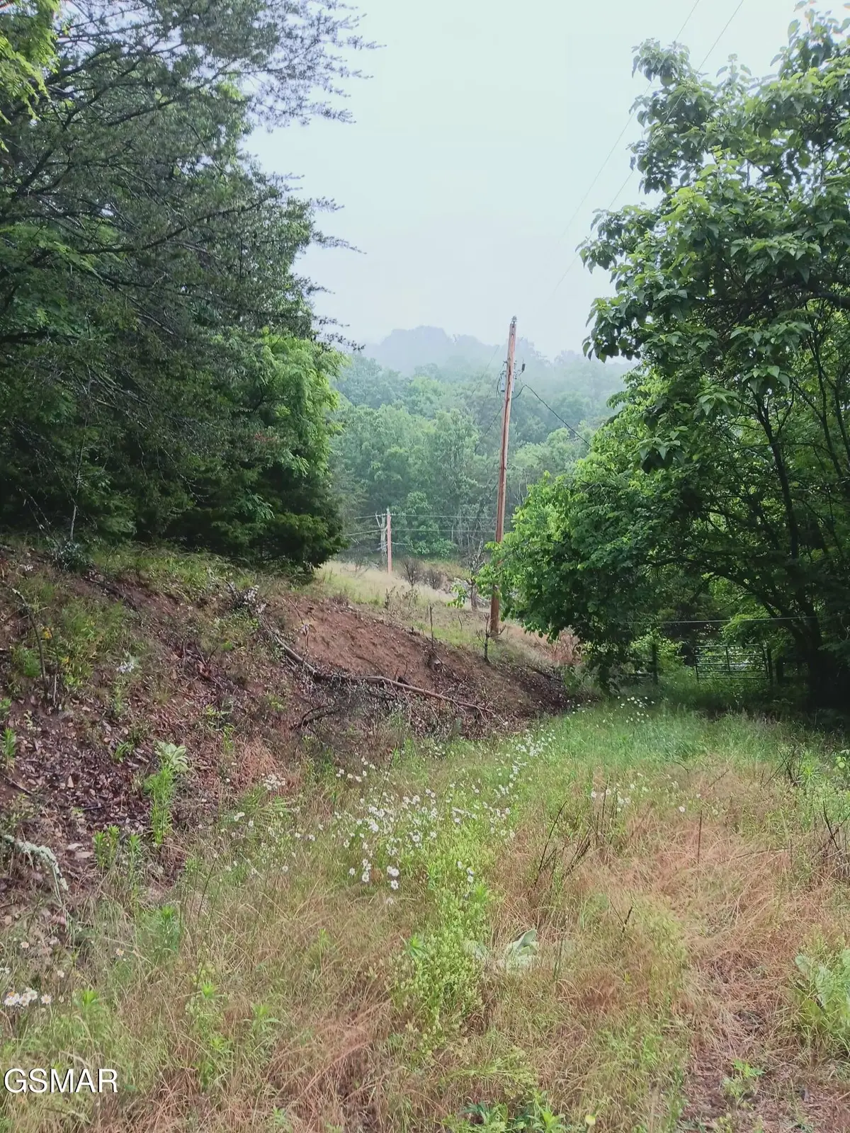 0 Highway 31, Mooresburg, TN 37811 - #1