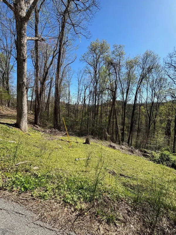 0 Esslinger & Low Gap, Gatlinburg, TN 37738