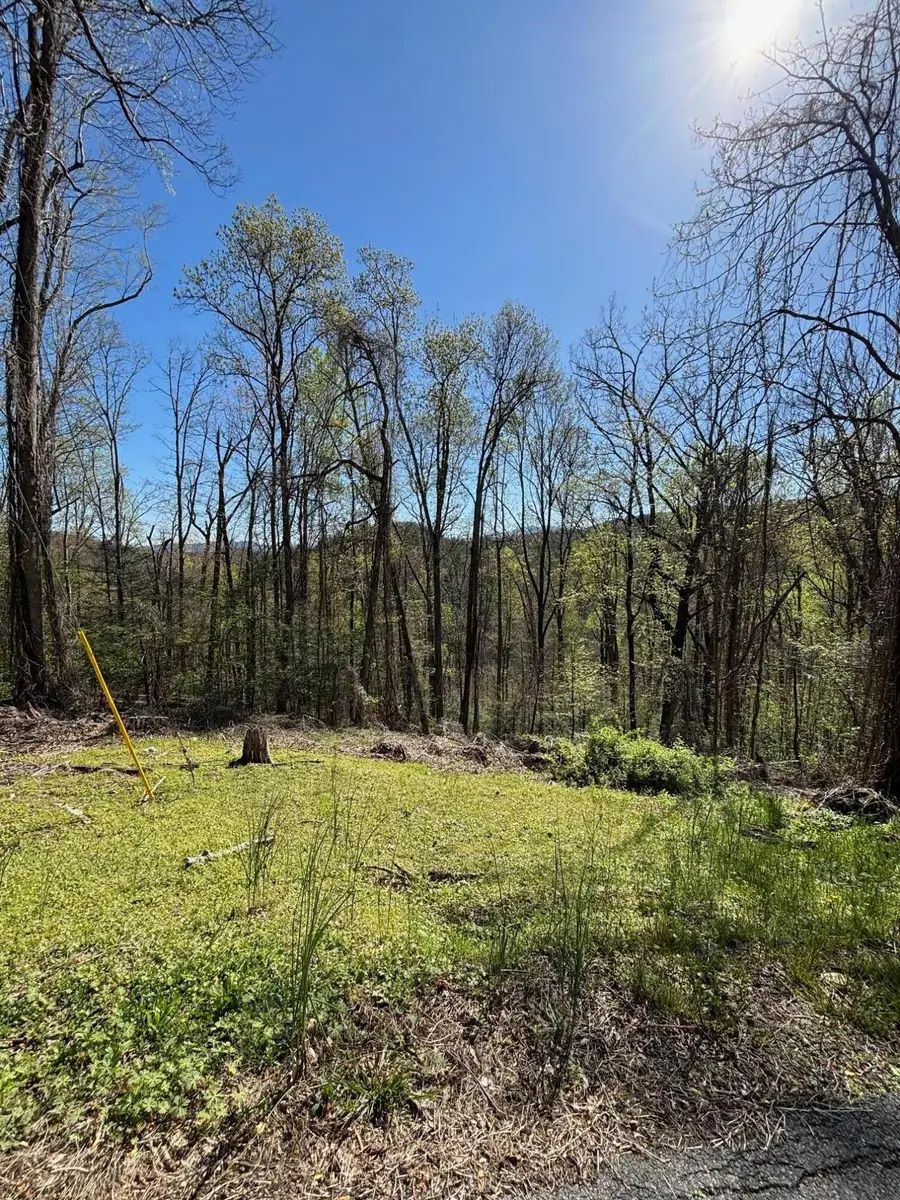0 Esslinger & Low Gap, Gatlinburg, TN 37738 - #2