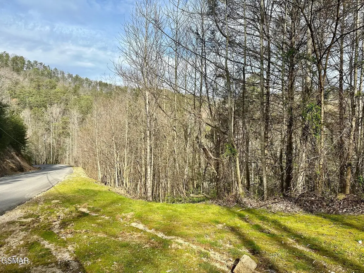 1423 Mountain Dreams Way, Sevierville, TN 37862 - #1