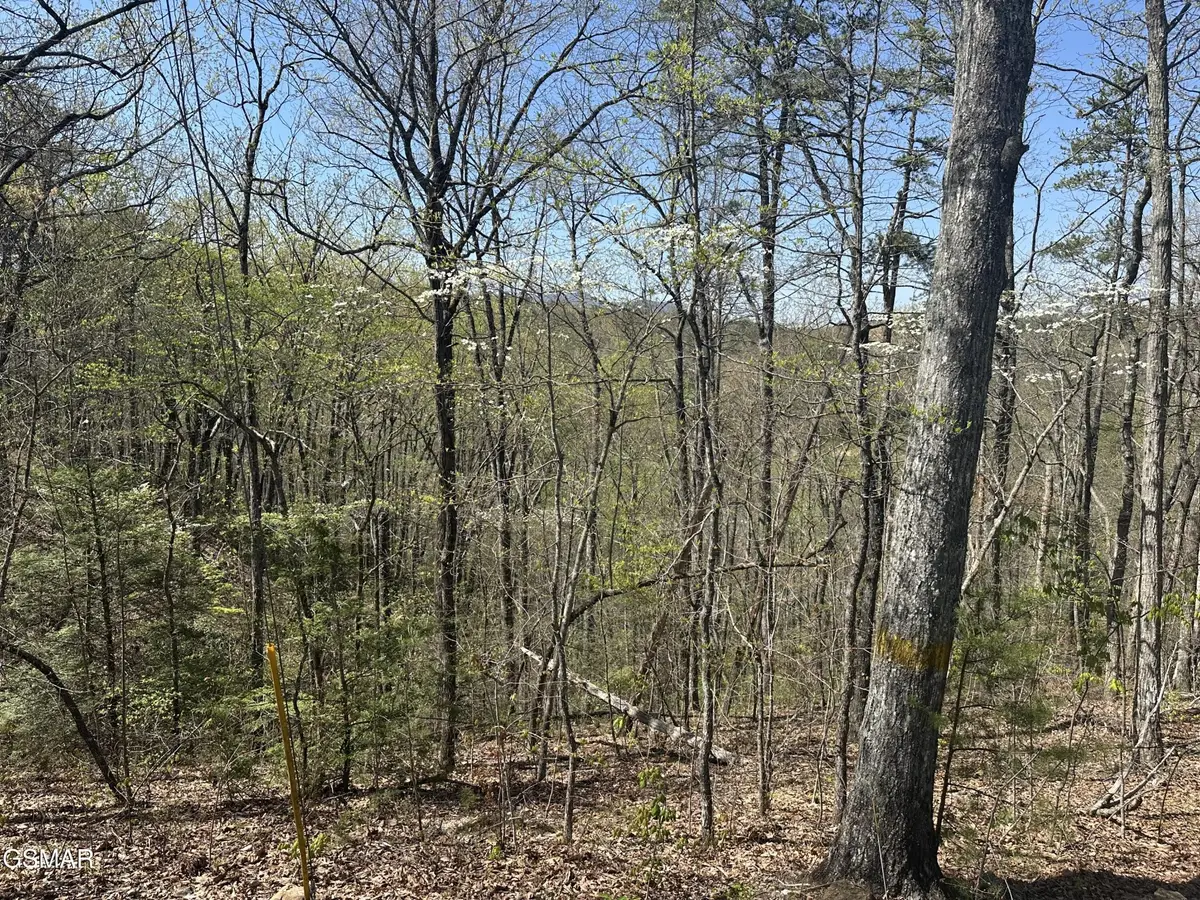 1532 Mountain Dreams Way Way, Pigeon Forge, TN 37862 - #1
