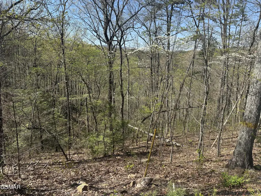 1532 Mountain Dreams Way Way, Pigeon Forge, TN 37862 - #2
