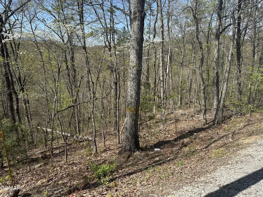 1532 Mountain Dreams Way Way, Pigeon Forge, TN 37862 - #3