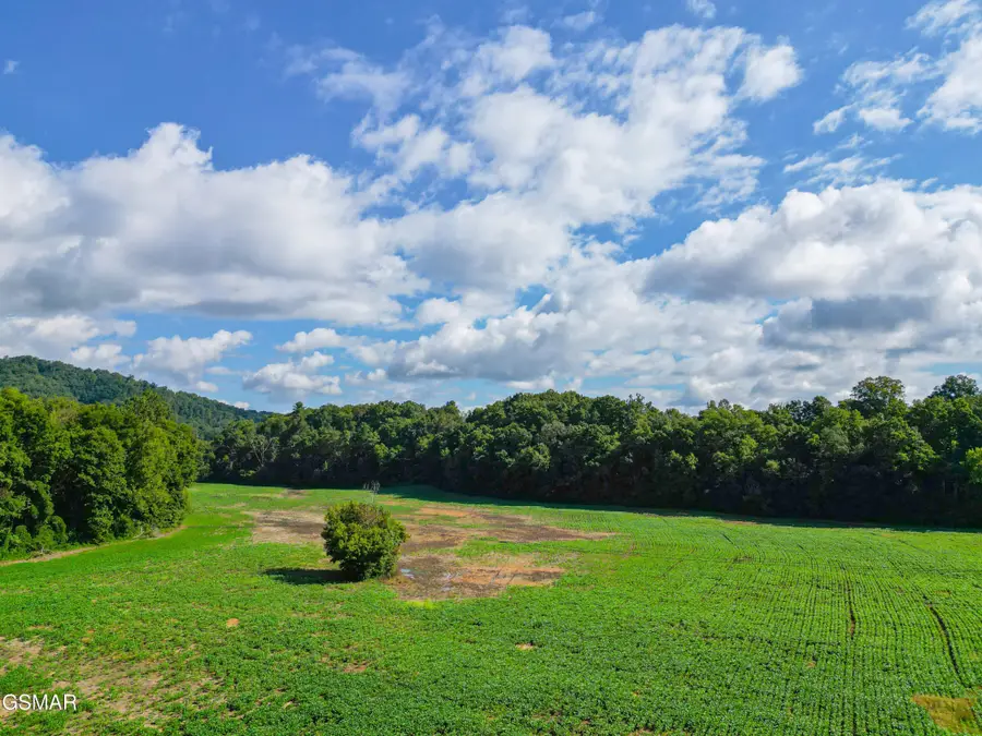 60 Cosby Highway, Cosby, TN 37722 - #3