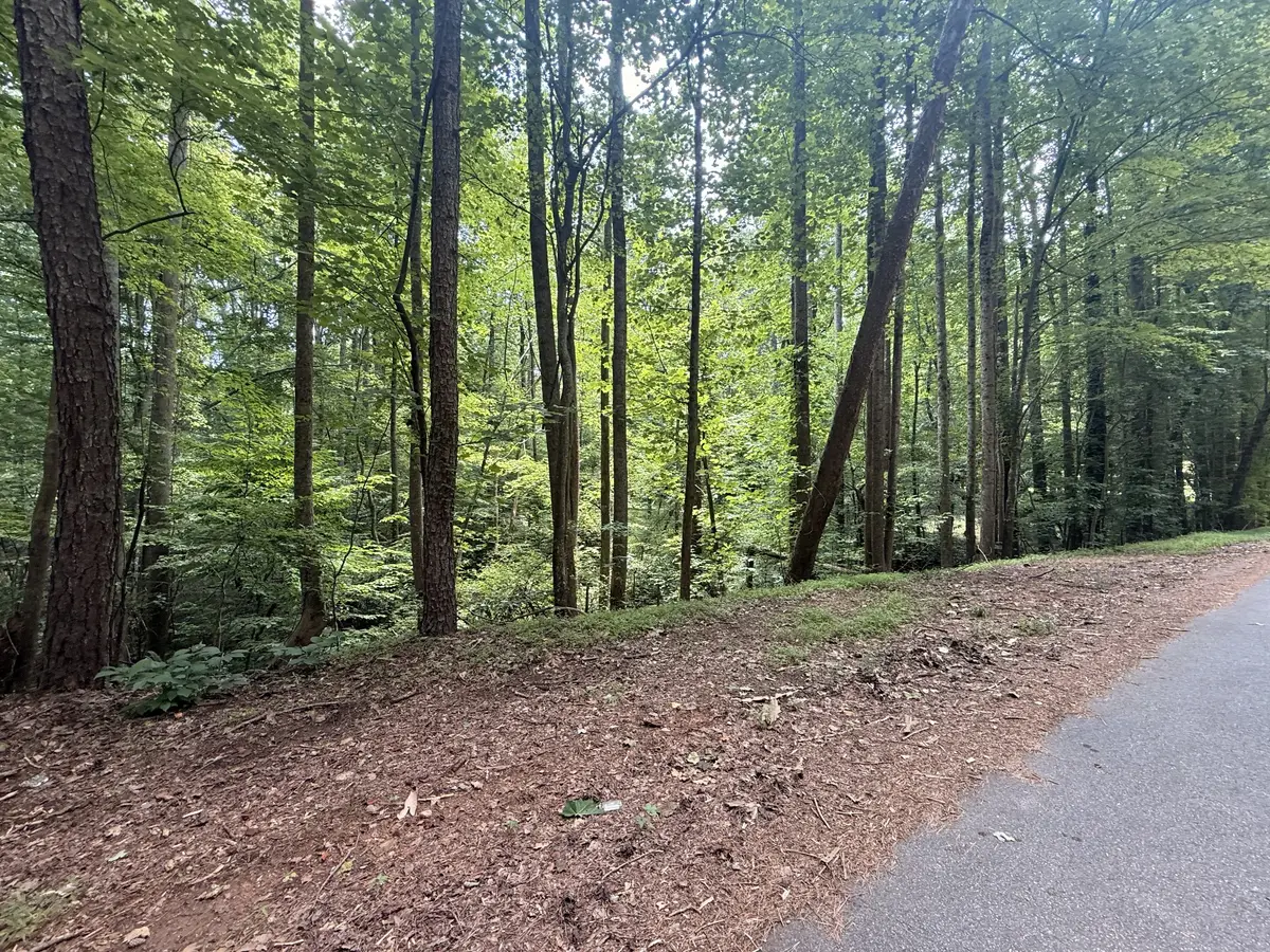 3008 Mohawk Dr, Gainesville, GA 30501 - #1